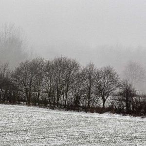 Wartberg - Aufstieg im Winternebel