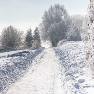 Wartberg-Winter: Weg am Ostrand