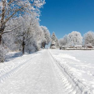 Wartberg - östlicher Weg vom Süden aus gesehen