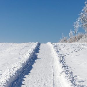 Wartberg - Weg auf der Südseite