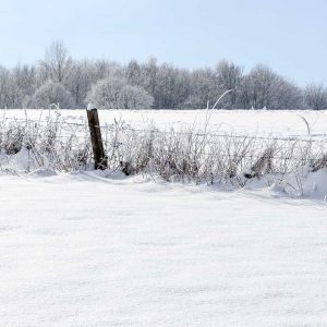 Wartberg - winterlicher Weidenzaun