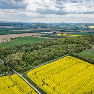 Südwestlicher Blick über den Wartberg