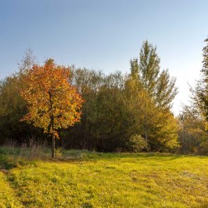 Wartberg - Herbst